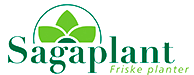 Logo, Sagaplant As